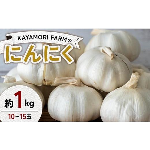 ふるさと納税 野菜類 福島県 矢吹町 KAYAMORI FARMのにんにく 約1kg(10〜15玉) F6U-375