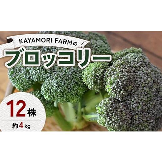 ふるさと納税 野菜類 福島県 矢吹町 KAYAMORI FARMのブロッコリー 12株(約4kg) F6U-376