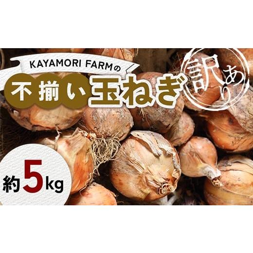 ふるさと納税 野菜類 玉ねぎ 福島県 矢吹町 KAYAMORI FARMの不揃い玉ねぎ 約5kg 訳アリ玉ねぎ F6U-377