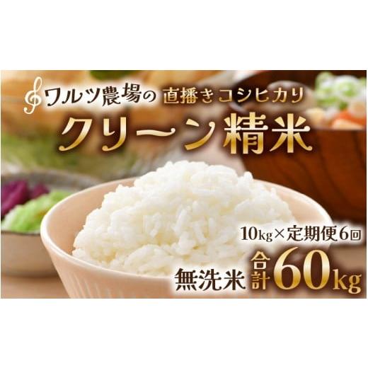 ふるさと納税 米 コシヒカリ 福井県 あわら市 令和7年産 定期便[6ヶ月連続お届け]ワルツ農場の直播き コシヒカリ クリーン精米(無洗米)10kg×6回 計60kg …