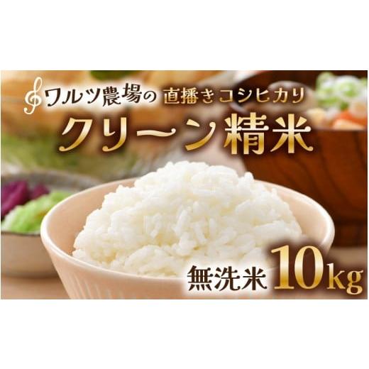ふるさと納税 米 コシヒカリ 福井県 あわら市 令和7年産 ワルツ農場の直播き コシヒカリ クリーン精米(無洗米) 10kg(5kg×2袋) / お米 ご飯 白米 発送直…