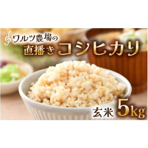 ふるさと納税 米 コシヒカリ 福井県 あわら市 令和7年産 ワルツ農場の直播き コシヒカリ 玄米 5kg / お米 ご飯 つや 艶 甘味 旨み あわら市産 福井県産 慣行…
