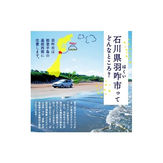 ふるさと納税 加工品等 はちみつ 石川県 羽咋市 ヘアリーベッチ 1本 百花 2本 蜂蜜 各 175g 計 3本 天然 国産 純粋 非加熱 無調整 あっさり 甘い コク 万能 瓶…の画像