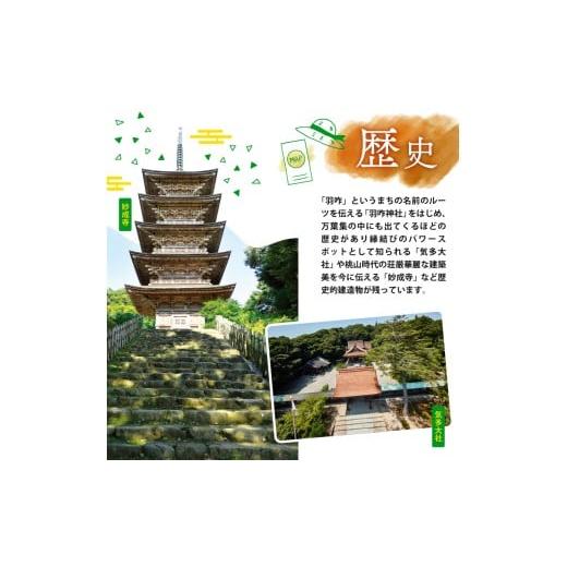 ふるさと納税 加工品等 はちみつ 石川県 羽咋市 蜂蜜 ヘアリーベッチ蜜 りんご蜜 3本セット 2種 各 175g 天然 爽やか フローラル あっさり 甘い 国産 純粋 非…の画像
