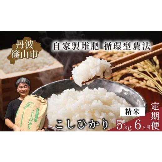 ふるさと納税 米 コシヒカリ 兵庫県 丹波篠山市 定期便 令和7年産 丹波篠山産コシヒカリ 精米 5kg×6回 計30kg お米定期便 精米 コメ こめ 米 こしひかり …