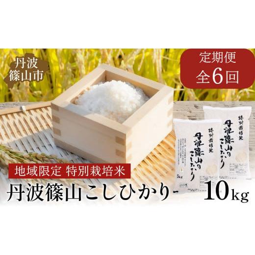 ふるさと納税 米 コシヒカリ 兵庫県 丹波篠山市 定期便・令和8年早期予約 特Aランク 特別栽培米 コシヒカリ 10kg(全6回) 兵庫県 丹波篠山市 白米 100%単…