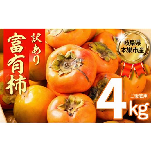 ふるさと納税 果物類 柿 岐阜県 本巣市 訳あり 富有柿 4kg 訳あり柿 年内発送 フルーツ 果物 くだもの 柿 かき カキ 富有柿 岐阜県 本巣市 デザー…