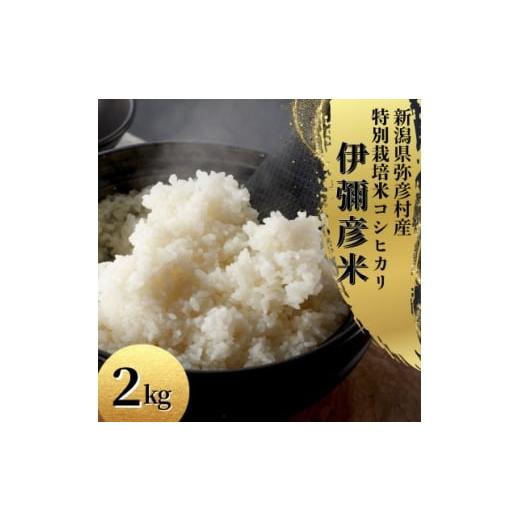 ふるさと納税 米 新潟県 弥彦村 お試し 令和7年産 特別栽培米コシヒカリ「伊彌彦米」精米 2kg 新潟県産弥彦村 1704699
