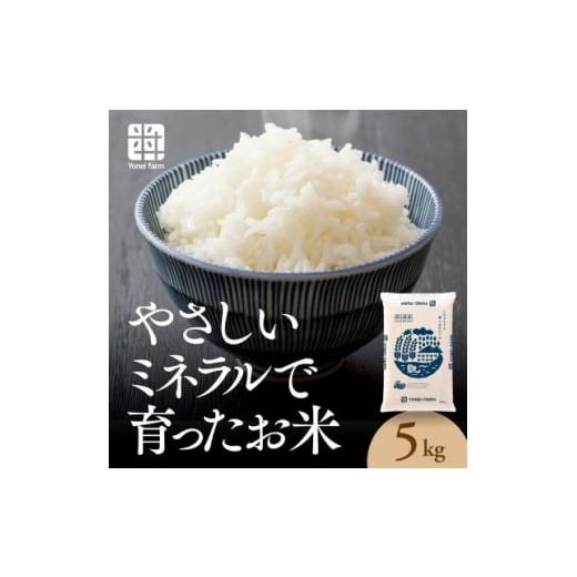 ふるさと納税 無洗米 岡山県 津山市 おいしいお米(5kg) 無洗米 リピーター続出 きぬむすめ 1184608