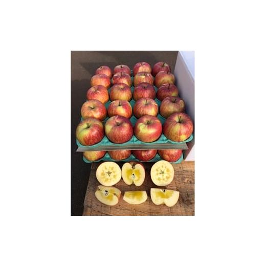 ふるさと納税 りんご 青森県 青森市 りんご 完熟葉とらずふじ 10kg (家庭用) 1181955