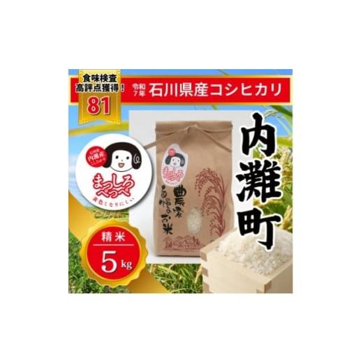 ふるさと納税 米 石川県 内灘町 令和7年産 コシヒカリ 5kg精米 まっしろぺっぺ 1703485