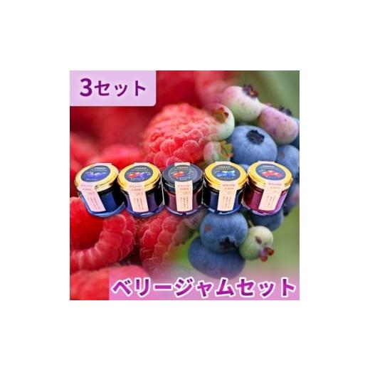 ふるさと納税 ジャム 北海道 帯広市 ベリージャムセット全5種 各70g×3セット 1678028_1