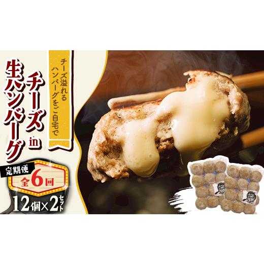 ふるさと納税 鶏肉 北海道 帯広市 毎月定期便 チーズ in ハンバーグ　生(12個入) 2セット全6回 4080186_1
