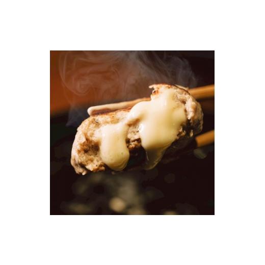 ふるさと納税 鶏肉 北海道 帯広市 毎月定期便 チーズ in ハンバーグ グリル 4個入 (デミグラスソース) 2セット全2回 4080187