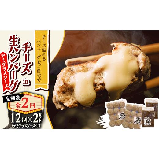 ふるさと納税 鶏肉 北海道 帯広市 毎月定期便 チーズ in ハンバーグ(生)12個入(デミグラスソース250g) 2セット全2回 4080195_1