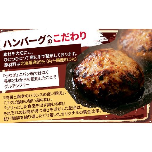 ふるさと納税 鶏肉 北海道 帯広市 毎月定期便 チーズ in ハンバーグ(生)12個入(デミグラスソース250g) 2セット全2回 4080195_3