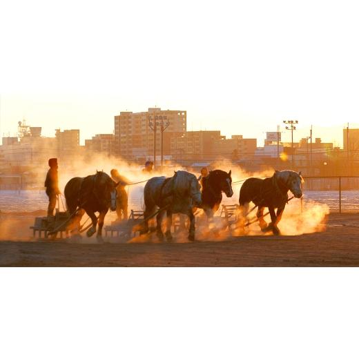 ふるさと納税 鶏肉 北海道 帯広市 毎月定期便 チーズ in ハンバーグ(生)12個入(デミグラスソース250g) 2セット全2回 4080195_5