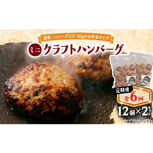 ふるさと納税 鶏肉 北海道 帯広市 毎月定期便 ミニクラフトハンバーグ(ミニ12個入り 1セット)　ソースなし 2セット全6回 4080200_1