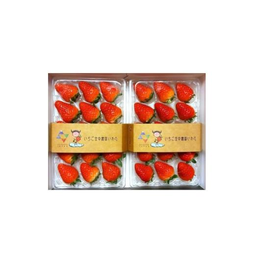 ふるさと納税 いちご 静岡県 磐田市 いちご空中農園いわた きらぴ香 期間限定 大粒 8〜15玉×2パック ギフトBOX入り 1701699