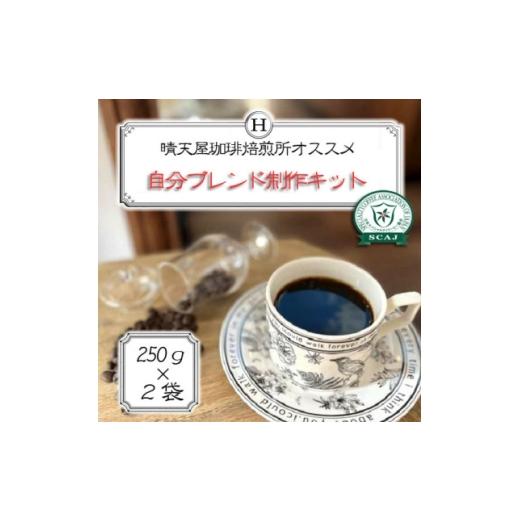 ふるさと納税 コーヒー コーヒー豆 兵庫県 尼崎市 自分ブレンド制作キット 1704746
