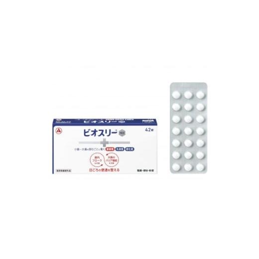 ふるさと納税 加工品等 群馬県 館林市 3個セット ビオスリーHi錠 整腸剤 42錠 7日分 指定医薬部外品 アリナミン製薬 1703037