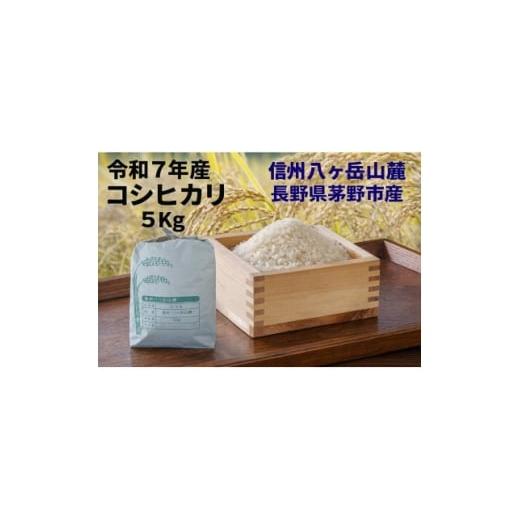 ふるさと納税 米 長野県 茅野市 令和7年産 信州八ヶ岳山麗 長野県産コシヒカリ 精米5kg(5kg×1袋) 1702617
