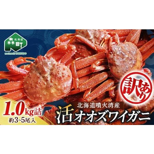 ふるさと納税 カニ ずわいガニ 北海道 森町  先行予約 訳あり 北海道噴火湾産 活オオズワイガニ1kg 道産ネットミツハシ かに カニ 蟹 ガニ がに 森町 ふるさと…の画像