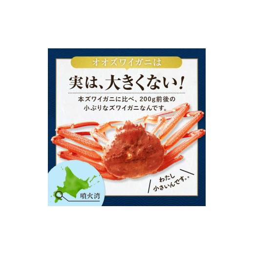 ふるさと納税 カニ ずわいガニ 北海道 森町  先行予約 訳あり 北海道噴火湾産 活オオズワイガニ1kg 道産ネットミツハシ かに カニ 蟹 ガニ がに 森町 ふるさと…の画像