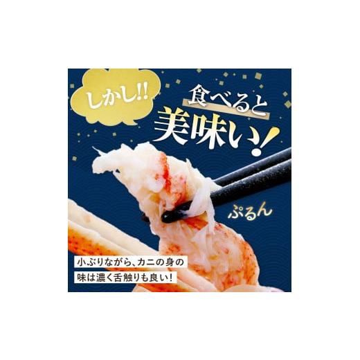 ふるさと納税 カニ ずわいガニ 北海道 森町  先行予約 訳あり 北海道噴火湾産 活オオズワイガニ1kg 道産ネットミツハシ かに カニ 蟹 ガニ がに 森町 ふるさと…の画像