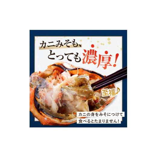 ふるさと納税 カニ ずわいガニ 北海道 森町  先行予約 訳あり 北海道噴火湾産 活オオズワイガニ1kg 道産ネットミツハシ かに カニ 蟹 ガニ がに 森町 ふるさと…の画像