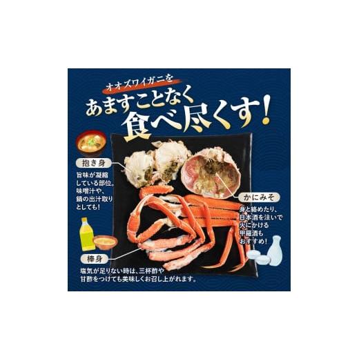 ふるさと納税 カニ ずわいガニ 北海道 森町  先行予約 訳あり 北海道噴火湾産 活オオズワイガニ1kg 道産ネットミツハシ かに カニ 蟹 ガニ がに 森町 ふるさと…の画像