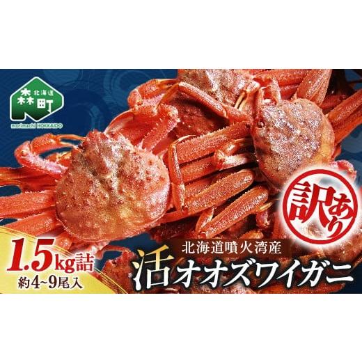 ふるさと納税 カニ ずわいガニ 北海道 森町 先行予約 訳あり 北海道噴火湾産 活オオズワイガニ1.5kg 道産ネットミツハシ かに カニ 蟹 ガニ がに 森町 ふるさ…