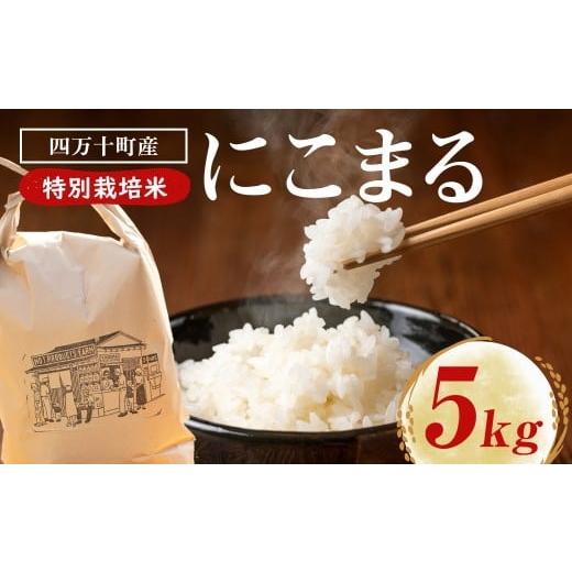 ふるさと納税 米 にこまる 高知県 四万十町 にこまる 数量限定 四万十清流育ち つや甘み際立つ にこまる 5kg 米 こめ コメ 農家 おむすび お米 おこめ 白米 …