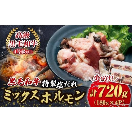 ふるさと納税 牛肉 ホルモン 宮崎県 小林市 自社農場和牛 黒毛和牛 特製塩だれミックスホルモン 720g (国産 黒毛和牛 宮崎牛 牛肉 塩だれ ホルモン ミックス…