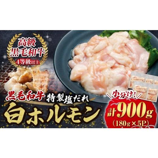 ふるさと納税 牛肉 ホルモン 宮崎県 小林市 自社農場和牛 黒毛和牛 特製塩だれ白ホルモン 900g (国産 黒毛和牛 宮崎牛 牛肉 塩だれ ホルモン 白ホルモン 冷…