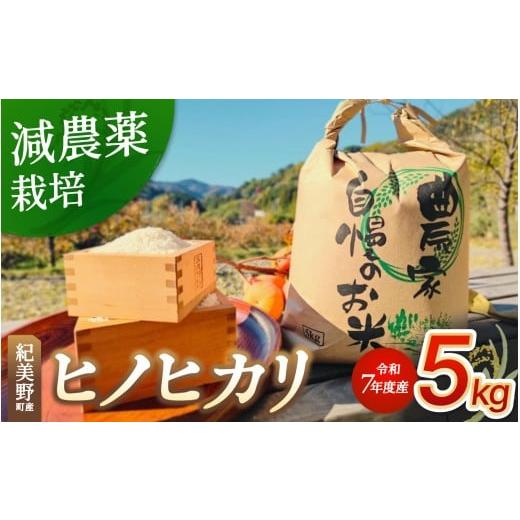 ふるさと納税 米 ヒノヒカリ 和歌山県 紀美野町 新米 ヒノヒカリ 無洗米5kg(2025年産) 紀美野町産/ 白米 新米 無洗米 コメ 産地直送 米 こめ ご飯 ごはん ひ…