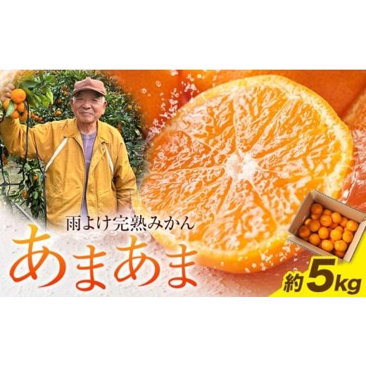 ふるさと納税 果物類 みかん 徳島県 佐那河内村 雨よけ完熟みかん「あまあま」 約5kg 正木久之[12月下旬-1月中旬]徳島県 佐那河内村 みかん ミカン 蜜柑 柑…