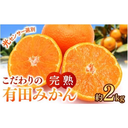 ふるさと納税 果物類 みかん 和歌山県 由良町 こだわりの有田みかん 約2kg ご家庭用 1月発送 光センサー選別品 農家直送品 北海道・沖縄・離島配送不可 / み…