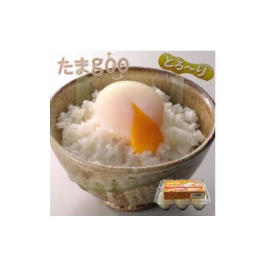 ふるさと納税 卵(鶏、烏骨鶏等) 大阪府 高石市 [とろ〜りたまgoo 48個]こだわり温泉卵(6個入り×8パック) 1702137