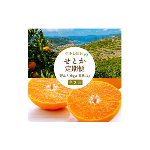 ふるさと納税 みかん・柑橘類 愛媛県 八幡浜市 2週間毎定期便 約2週間毎 せとか2kg(秀)×せとか3kg(訳) H25-275 全2回 4071245