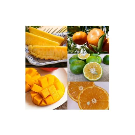 ふるさと納税 果物類 みかん 沖縄県 国頭村 発送月固定定期便 南国プレミアムフルーツ定期便(マンゴー&amp;パイナップル2種&amp;柑橘3種)全6回 4081234