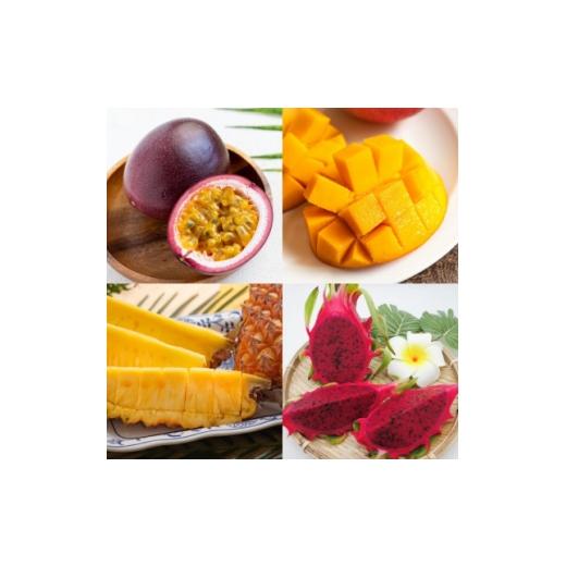 ふるさと納税 マンゴー 沖縄県 国頭村 発送月固定定期便 南国フルーツセット(パッションフルーツ&amp;マンゴー&amp;パイン&amp;ドラゴンルーツ)全4回 4081241…