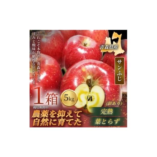 ふるさと納税 りんご 青森県 青森市 青森直送 季節の味覚をお届け サンふじ 5kg×1箱(訳あり)青森産 産地直送 限定生産 1700919