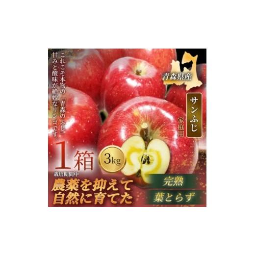 ふるさと納税 りんご 青森県 青森市 青森直送 季節の味覚をお届け サンふじ 3kg×1箱(家庭用)青森産 産地直送 限定生産 1700939