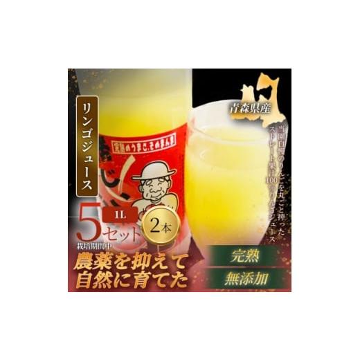ふるさと納税 果汁飲料 りんご 青森県 青森市 栽培期間中農薬を減らしたりんごを丸ごと使用 リンゴジュース(1L×2本)5セット 青森産 限定生産 1700943