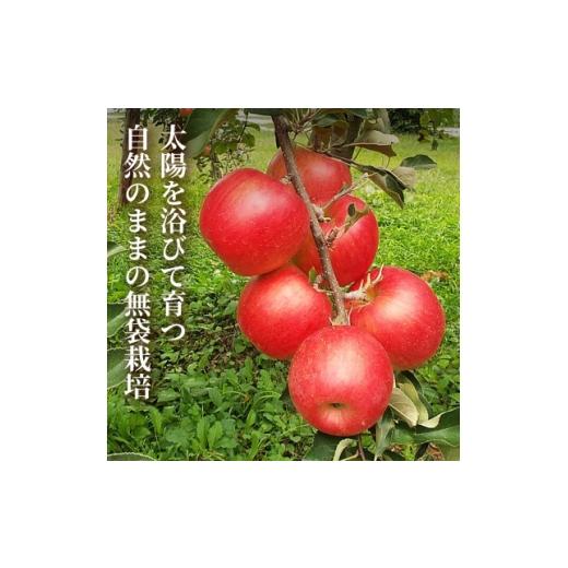 ふるさと納税 果汁飲料 りんご 青森県 青森市  栽培期間中農薬を減らしたりんごを丸ごと使用 リンゴジュース(1L×2本)3セット 青森産 限定生産 1700944の画像