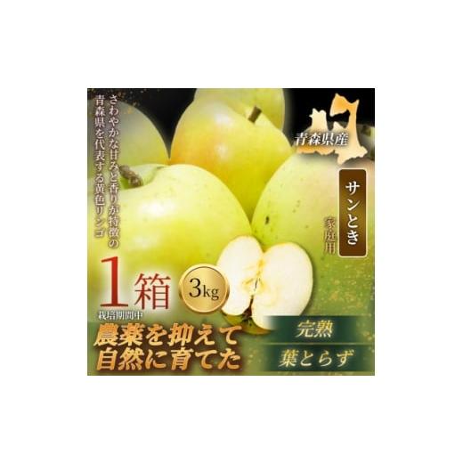 ふるさと納税 りんご 青森県 青森市 青森直送 季節の味覚をお届け サンとき 3kg×1箱(家庭用)2026年産 産地直送 限定生産 1700960