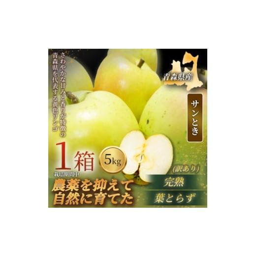 ふるさと納税 りんご 青森県 青森市 青森直送 季節の味覚をお届け サンとき 5kg×1箱(訳あり)2026年産 産地直送 限定生産 1700985