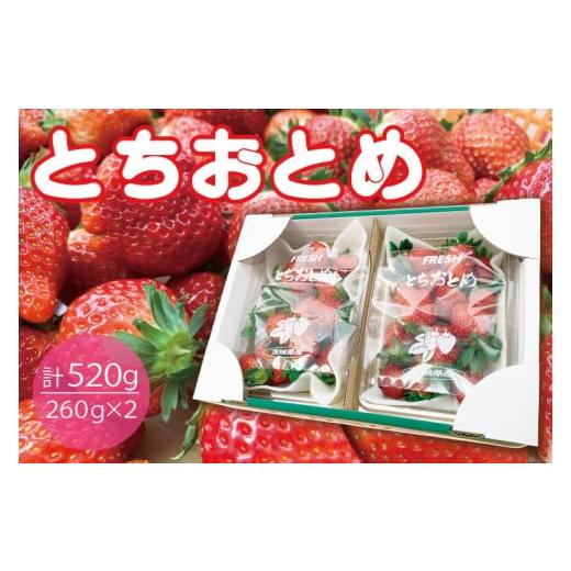 ふるさと納税 いちご 茨城県 鹿嶋市 数量限定 とちおとめ 2パック入り1箱 いちご イチゴ 苺 フルーツ 果物(KBP-7)