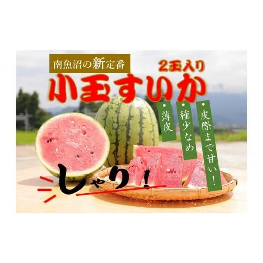 ふるさと納税 スイカ 新潟県 南魚沼市 令和8年/小玉すいか予約 パリ シャリ 甘〜い 2玉入り 食べきりサイズ 2026年7月中旬より発送予定